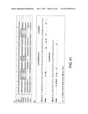 ANTI-HUMAN CLCP1 ANTIBODY AND USE THEREOF diagram and image