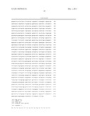 ANTI-HUMAN CLCP1 ANTIBODY AND USE THEREOF diagram and image