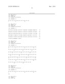 ANTI-HUMAN CLCP1 ANTIBODY AND USE THEREOF diagram and image