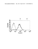 CROSS-SPECIES-SPECIFIC PSMAxCD3 BISPECIFIC SINGLE CHAIN ANTIBODY diagram and image