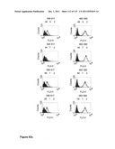 CROSS-SPECIES-SPECIFIC PSMAxCD3 BISPECIFIC SINGLE CHAIN ANTIBODY diagram and image