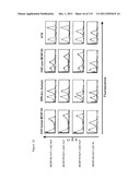 CROSS-SPECIES-SPECIFIC PSMAxCD3 BISPECIFIC SINGLE CHAIN ANTIBODY diagram and image