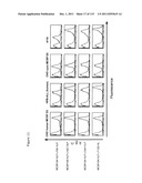 CROSS-SPECIES-SPECIFIC PSMAxCD3 BISPECIFIC SINGLE CHAIN ANTIBODY diagram and image