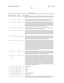 CROSS-SPECIES-SPECIFIC PSMAxCD3 BISPECIFIC SINGLE CHAIN ANTIBODY diagram and image