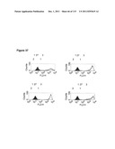 CROSS-SPECIES-SPECIFIC PSMAxCD3 BISPECIFIC SINGLE CHAIN ANTIBODY diagram and image