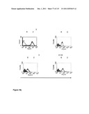 CROSS-SPECIES-SPECIFIC PSMAxCD3 BISPECIFIC SINGLE CHAIN ANTIBODY diagram and image