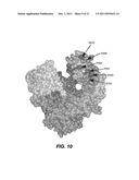 POLYPEPTIDE VARIANTS WITH ALTERED EFFECTOR FUNCTION diagram and image