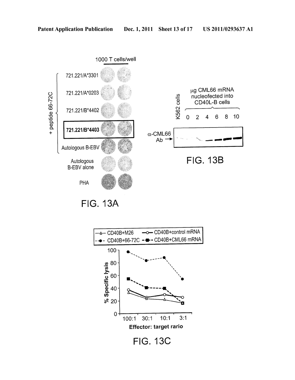 COMPOSITIONS AND METHODS OF IDENTIFYING TUMOR SPECIFIC NEOANTIGENS - diagram, schematic, and image 14