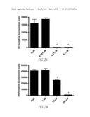 COMPOUNDS AND METHODS FOR INHIBITING MMP2 AND MMP9 diagram and image