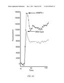 COMPOUNDS AND METHODS FOR INHIBITING MMP2 AND MMP9 diagram and image