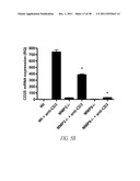 COMPOUNDS AND METHODS FOR INHIBITING MMP2 AND MMP9 diagram and image