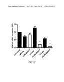 COMPOUNDS AND METHODS FOR INHIBITING MMP2 AND MMP9 diagram and image