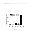 COMPOUNDS AND METHODS FOR INHIBITING MMP2 AND MMP9 diagram and image