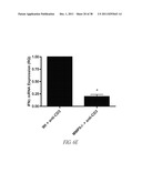 COMPOUNDS AND METHODS FOR INHIBITING MMP2 AND MMP9 diagram and image