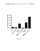 COMPOUNDS AND METHODS FOR INHIBITING MMP2 AND MMP9 diagram and image