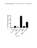 COMPOUNDS AND METHODS FOR INHIBITING MMP2 AND MMP9 diagram and image