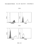 COMPOUNDS AND METHODS FOR INHIBITING MMP2 AND MMP9 diagram and image