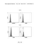 COMPOUNDS AND METHODS FOR INHIBITING MMP2 AND MMP9 diagram and image