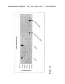 In Vivo Activation of Antigen Presenting Cells for Enhancement of Immune     Responses Induced by Virus Like Particles diagram and image