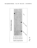 In Vivo Activation of Antigen Presenting Cells for Enhancement of Immune     Responses Induced by Virus Like Particles diagram and image