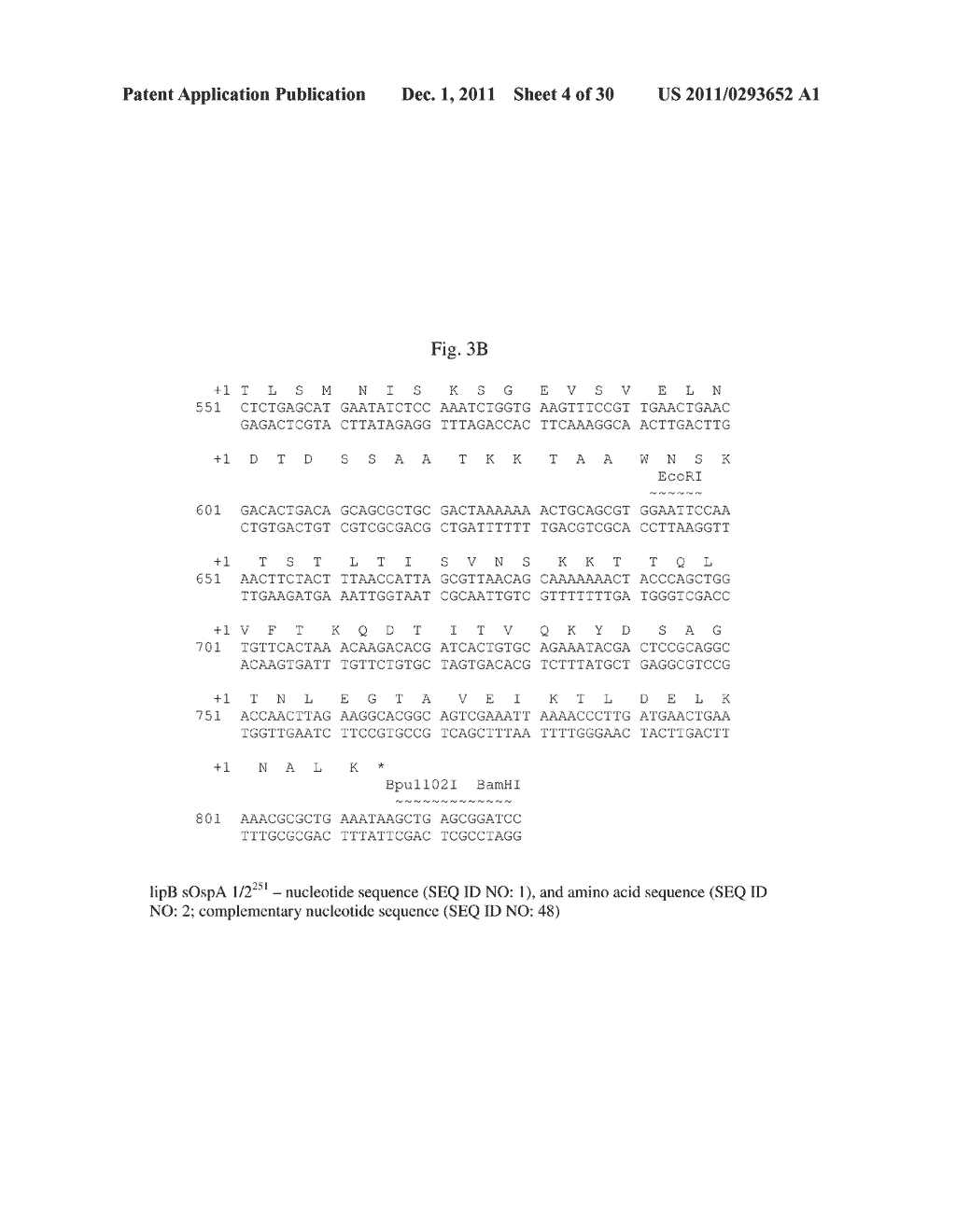 CHIMERIC OSPA GENES, PROTEINS, AND METHODS OF USE THEREOF - diagram, schematic, and image 05