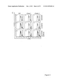 USE OF INKT OR TLR AGONISTS FOR PROTECTING AGAINST OR TREATING A DISEASE     SUCH AS ACUTE INFECTION OR CANCER diagram and image