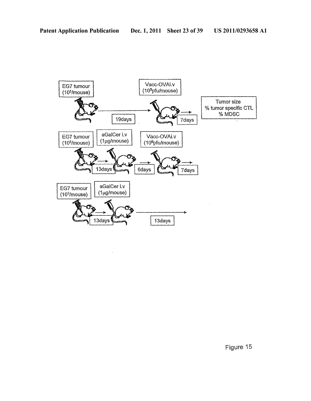 USE OF INKT OR TLR AGONISTS FOR PROTECTING AGAINST OR TREATING A DISEASE     SUCH AS ACUTE INFECTION OR CANCER - diagram, schematic, and image 24