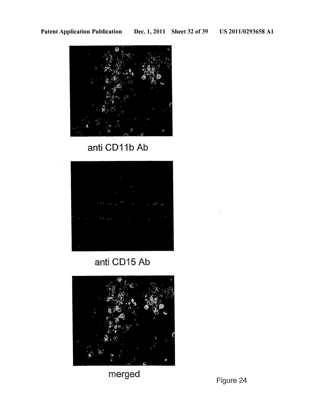 USE OF INKT OR TLR AGONISTS FOR PROTECTING AGAINST OR TREATING A DISEASE     SUCH AS ACUTE INFECTION OR CANCER - diagram, schematic, and image 33