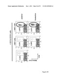 USE OF INKT OR TLR AGONISTS FOR PROTECTING AGAINST OR TREATING A DISEASE     SUCH AS ACUTE INFECTION OR CANCER diagram and image