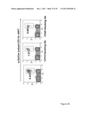 USE OF INKT OR TLR AGONISTS FOR PROTECTING AGAINST OR TREATING A DISEASE     SUCH AS ACUTE INFECTION OR CANCER diagram and image