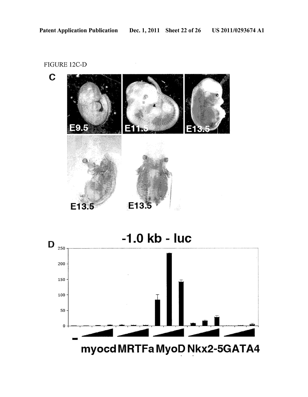 MICRO-RNAs THAT MODULATE SMOOTH MUSCLE PROLIFERATION AND DIFFERENTIATION - diagram, schematic, and image 23