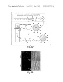 METHODS AND COMPOSITIONS FOR LOCALIZED AGENT DELIVERY diagram and image