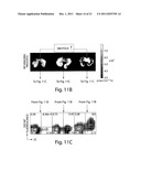 METHODS AND COMPOSITIONS FOR LOCALIZED AGENT DELIVERY diagram and image