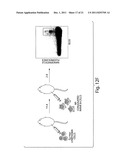 METHODS AND COMPOSITIONS FOR LOCALIZED AGENT DELIVERY diagram and image