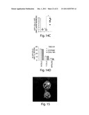 METHODS AND COMPOSITIONS FOR LOCALIZED AGENT DELIVERY diagram and image