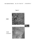 AURORA KINASE INHIBITORS diagram and image