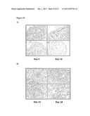 AURORA KINASE INHIBITORS diagram and image