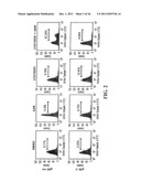 Modulation of Gsk-3Beta and Method of Treating Proliferative Disorders diagram and image