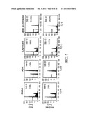 Modulation of Gsk-3Beta and Method of Treating Proliferative Disorders diagram and image