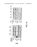 Modulation of Gsk-3Beta and Method of Treating Proliferative Disorders diagram and image