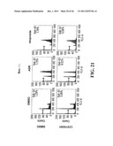 Modulation of Gsk-3Beta and Method of Treating Proliferative Disorders diagram and image