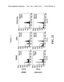 Modulation of Gsk-3Beta and Method of Treating Proliferative Disorders diagram and image