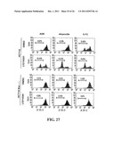 Modulation of Gsk-3Beta and Method of Treating Proliferative Disorders diagram and image