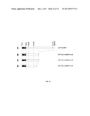 BARLEY AND MALT-DERIVED BEVERAGES WITH LOW DMS LEVEL diagram and image