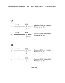 BARLEY AND MALT-DERIVED BEVERAGES WITH LOW DMS LEVEL diagram and image