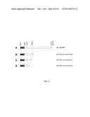 BARLEY AND MALT-DERIVED BEVERAGES WITH LOW DMS LEVEL diagram and image