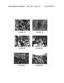 COMPOSITION AND PROCEDURE FOR APPLYING PHASE CHANGE MATERIALS (PCMS) TO     NATURAL STONE diagram and image