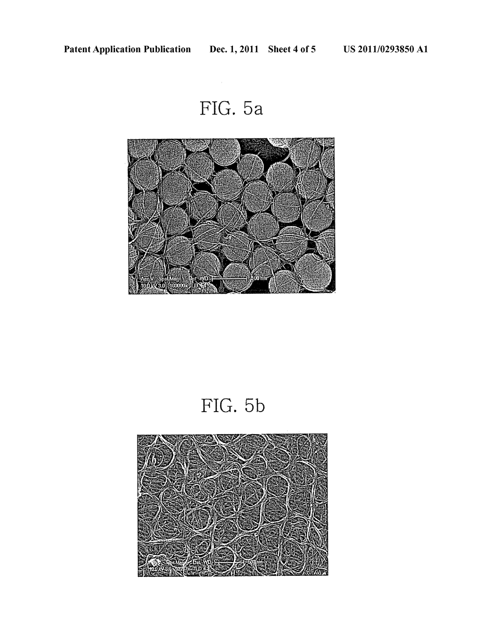 TRANSPARENT CARBON NANOTUBE ELECTRODE WITH NET-LIKE CARBON NANOTUBE FILM     AND PREPARATION METHOD THEREOF - diagram, schematic, and image 05