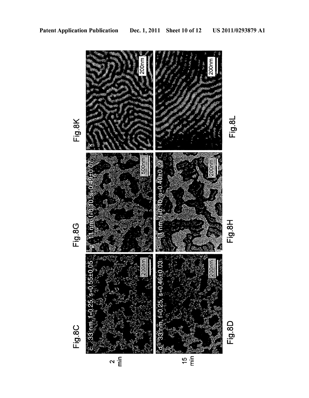 ASSEMBLIES COMPRISING BLOCK CO-POLYMER FILMS AND NANORODS - diagram, schematic, and image 11