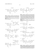 WATER SOLUBLE FLUORESCENT COMPOUNDS diagram and image